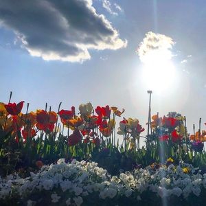 Meet your Posher, Alysha